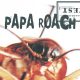 Papa Roach Infest Cover