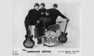 The American Beetles